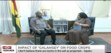Agric Minister Eric Opoku warns galamsey threatens food security, projects bumper harvest for 2025