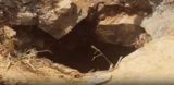 50-year-old woman dies after falling into abandoned galamsey pit in Mpasatia
