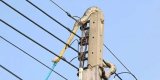 Snake causes power outage at Ejisu
