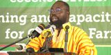 Gov’t plans to double coconut plantation coverage to 180k hectares by 2028 – Presidential Advisor on Agric