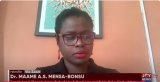 Removal of CJ could have unintended consequences – Constitutional theorist cautions