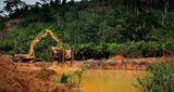 Armed miners hold five forest reserves hostage, Ghana Institute of Foresters reveals