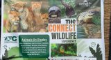 Wildlife Mobile Zoo draws excitement at Western Trade Fair