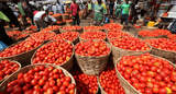 Food glut, tomato scarcity: Why Ghana has too much rice but not enough tomatoes