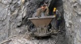 343 mining rights granted, about 1.1m jobs created in 2024 – NDPC report