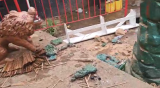 Nkawkaw: Clash at ‘weed base’ claims two lives