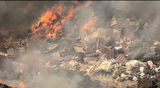 Police Drug Law Enforcement Unit destroys seized illicit drugs