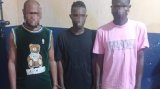 Police rescue 7 Nigerian victims of human trafficking at Ashaiman; 3 suspects arrested