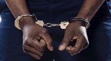 50 Nigerians arrested by GIS over human trafficking, cybercrime at McCarthy Hills