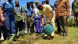 Planting for the Future: Forest clubs and tree planting drive to combat environmental damage