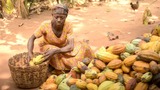 Inusah Fuseini calls for stronger cocoa production systems