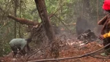 Helicopter crash: Carrying the remains in sacks compromised forensic evidence – Forensic Scientist