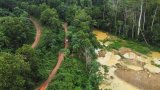 Galamsey: The fact that there won’t be any licenses for mining in forest reserves is a big win – (…)
