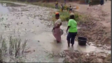 Gulumpe residents forced to share water with livestock