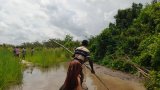 Keta flood disaster: Residents cry for help as schoolchildren wade through water