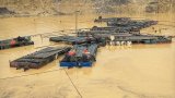 Galamsey Fight: Secret changfang factory discovered in Western Region, 85 destroyed