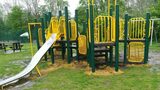 UK study finds toxic weedkiller residues in children’s playgrounds