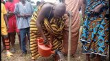 Brewaniase chief urges gov’t to include tree crops in Tree for Life initiative