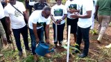 Atwima Nwabiagya South MCE takes steps to reclaim degraded lands through tree planting