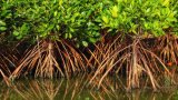 ActionAid Ghana demands urgent climate adaptation measures to protect coastal communities
