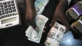 Govt told to detail plans to tackle foreign exchange leakage into black market