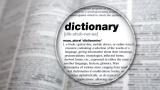 Cambridge Dictionary adds 6,000+ new words including skibidi, delulu, tradwife