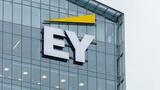 Success of 2026 Budget hinges on effective implementation of expenditure controls, others – EY Boss