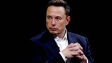 I build companies from scratch - Elon reveals no interest in TikTok bidding