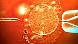 Sperm from donor with cancer-causing gene was used to conceive almost 200 children