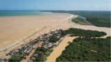Robbing the future: Gold lust killing Ghana’s fish, marine life and destroying mangroves