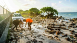 Top UN court says countries can sue each other over climate change