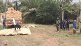 Birim North Police, Blue Water Guards arrest illegal chainsaw operators in dawn raid