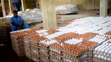 Egg glut deepens as poultry farmers accuse market women of inflating prices