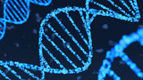 AI model from Google’s DeepMind reads recipe for life in DNA