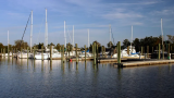 Three dead and several injured after shooting at US waterfront bar