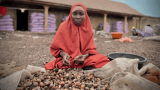 Nigeria banned shea butter exports to help women profit. But it backfired