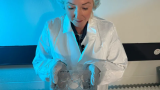 Scientists grow mini human brains to power computers