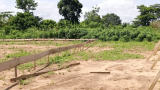 Tension in Effiduase as family rejects destoolment of chief who resisted controversial sale of COVID-19 cemetery land
