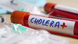 Cholera deaths surge 50% in 2024 as over 6,000 die globally – WHO