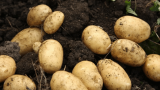 Group given £1.5m to redistribute surplus food