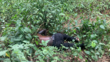 Spiritual healing ends in tragedy as patient is found dead in the bush