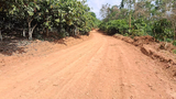 Bekwai MCE rehabilitates roads to aid farmers’ transport of produce