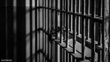 Cybercrime ringleader, 10 others remanded in custody