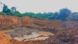Groups call for action over illegal diversion of Birim River