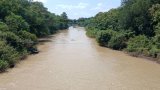 Red Volta forest reserve under siege from illegal miners, sand winners, herdsmen
