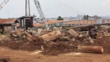Ayum Timber Company faces collapse as illegal logging depletes forest reserves