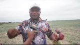 Kwahu Onion farmers urge government to regulate foreign imports