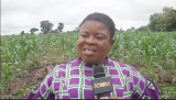 Kwahu Afram Plains North DCE urges youth to embrace Agriculture