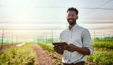 Revolutionizing Ghana’s Agriculture: Why a Year-Round Regional Strategy Is the Way Forward