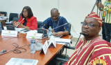 Select Committee on Local Government urges all assemblies to prioritise completion of abandoned (…)